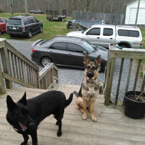 Meet your Posher, Kevin